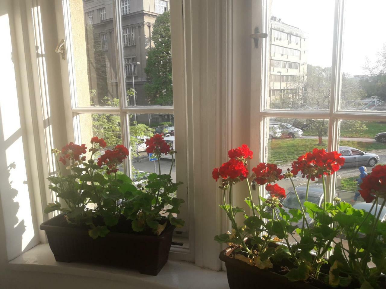 Apartment Lea Lux Белград Екстериор снимка